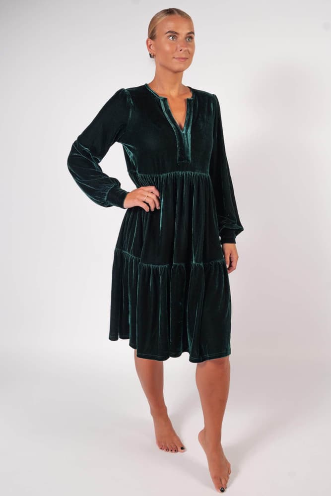 37_86577cce86-bara-pine-velvet-long-dress_9a9842cc-9abe-43ff-bb16-60f0500f185a-full